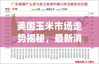 美国玉米市场走势揭秘，最新消息、影响因素与前景展望