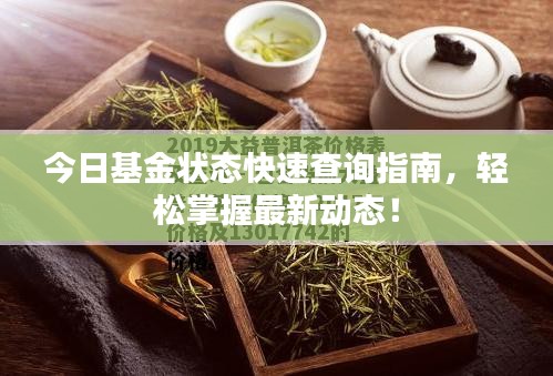 今日基金状态快速查询指南，轻松掌握最新动态！