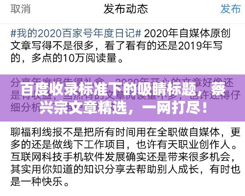 百度收录标准下的吸睛标题，蔡兴宗文章精选，一网打尽！
