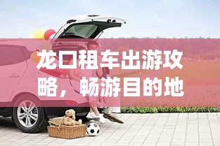 支付方式说明 第65页