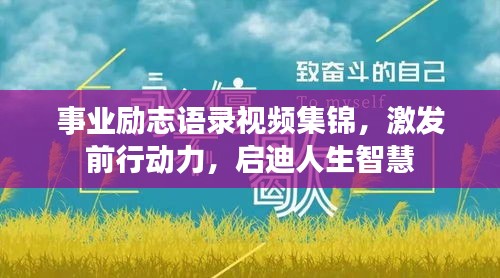 事业励志语录视频集锦，激发前行动力，启迪人生智慧