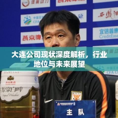 大连公司现状深度解析，行业地位与未来展望
