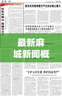 最新麻城新闻概览，今日热点一网打尽