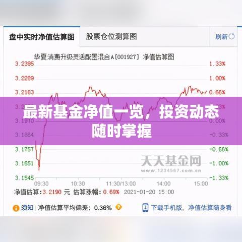 最新基金净值一览，投资动态随时掌握