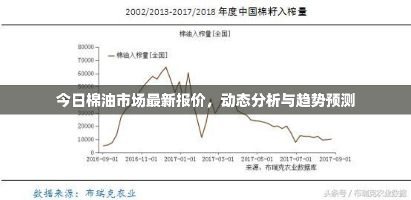 今日棉油市场最新报价，动态分析与趋势预测