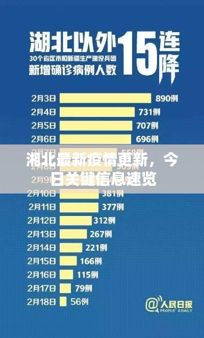 湘北最新疫情更新，今日关键信息速览