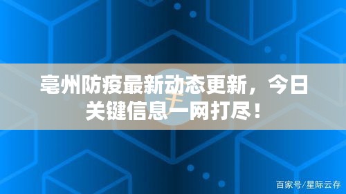 亳州防疫最新动态更新，今日关键信息一网打尽！
