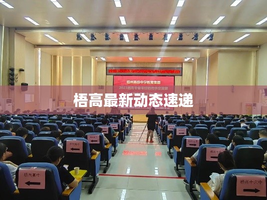 梧高最新动态速递