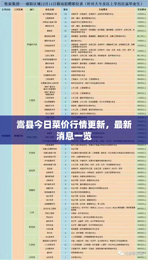 嵩县今日菜价行情更新，最新消息一览