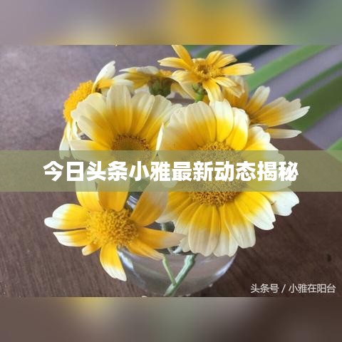 今日头条小雅最新动态揭秘