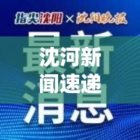 沈河新闻速递，今日最新消息汇总