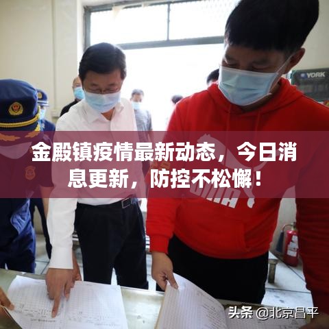 金殿镇疫情最新动态，今日消息更新，防控不松懈！