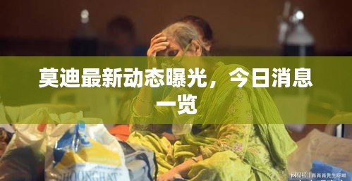 莫迪最新动态曝光，今日消息一览