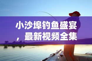 小沙埠钓鱼盛宴，最新视频全集，钓鱼迷的极致享受