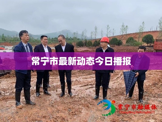 螓首蛾眉 第2页