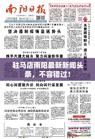 驻马店南阳最新新闻头条，不容错过！