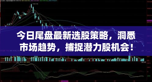 今日尾盘最新选股策略，洞悉市场趋势，捕捉潜力股机会！