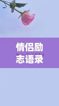 情侣励志语录，短小精悍，情感与成长共鸣的甜蜜寄语