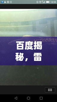 鸟栖虫居 第2页