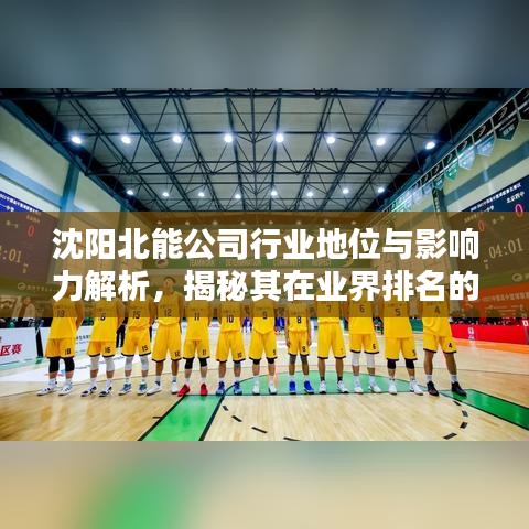 沈阳北能公司行业地位与影响力解析，揭秘其在业界排名的影响与实力
