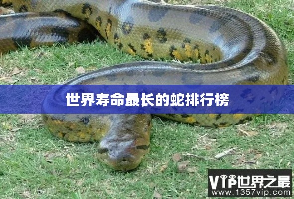世界寿命最长的蛇排行榜