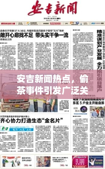 安吉新闻热点，偷茶事件引发广泛关注热议