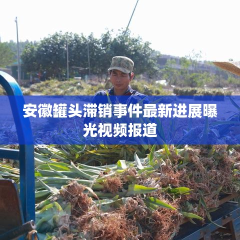 安徽罐头滞销事件最新进展曝光视频报道