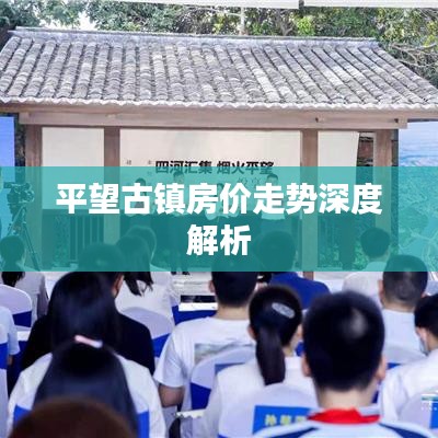 平望古镇房价走势深度解析