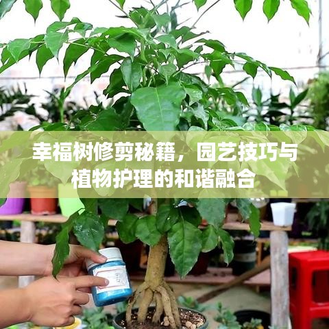 支付方式说明 第56页