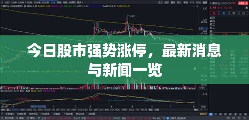 斫琱为朴 第2页