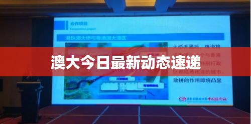 澳大今日最新动态速递