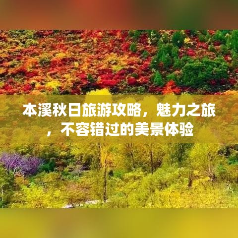 本溪秋日旅游攻略，魅力之旅，不容错过的美景体验