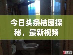 今日头条桔园探秘，最新视频展现桔园魅力与动态