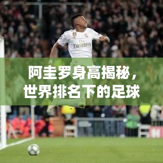 阿圭罗身高揭秘，世界排名下的足球巨星身高之谜