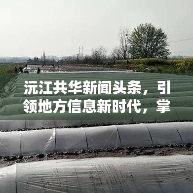 沅江共华新闻头条，引领地方信息新时代，掌握最新资讯动态