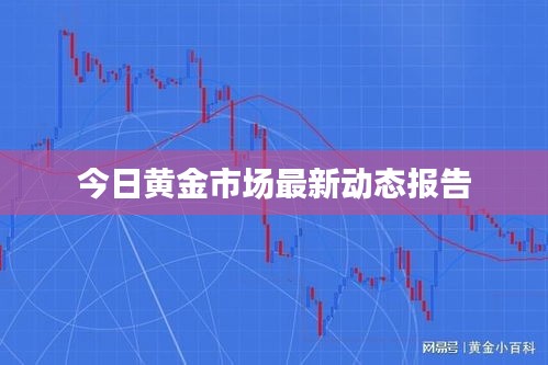 今日黄金市场最新动态报告