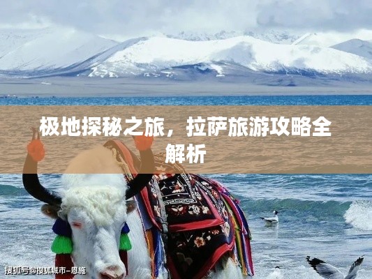 极地探秘之旅，拉萨旅游攻略全解析