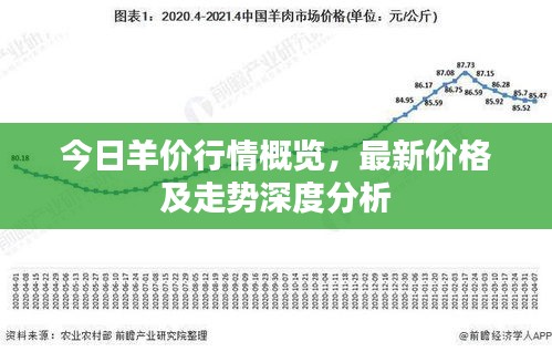 今日羊价行情概览，最新价格及走势深度分析