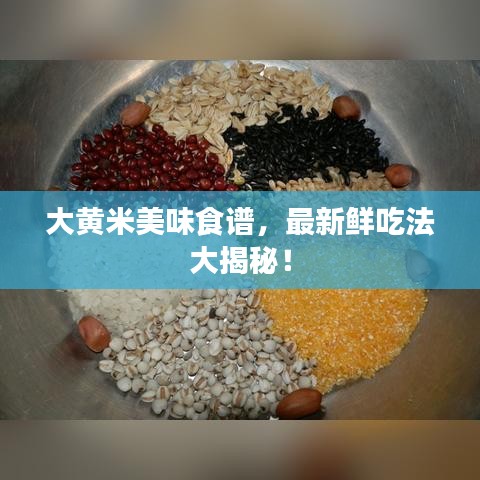 大黄米美味食谱，最新鲜吃法大揭秘！