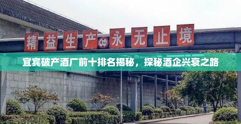宜宾破产酒厂前十排名揭秘，探秘酒企兴衰之路