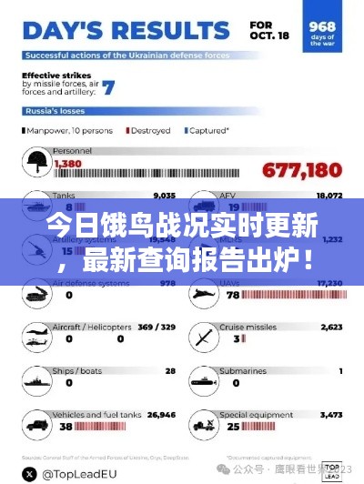 今日饿鸟战况实时更新，最新查询报告出炉！