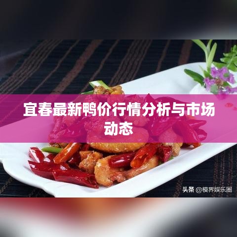 宜春最新鸭价行情分析与市场动态