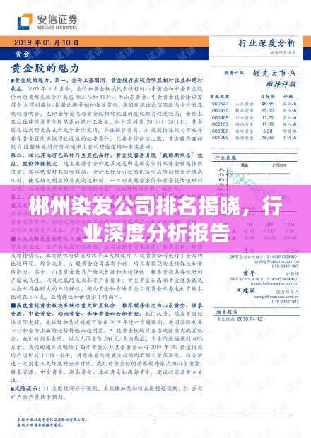 郴州染发公司排名揭晓，行业深度分析报告