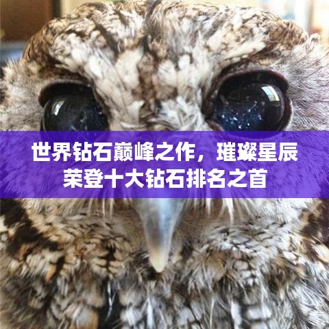 剑拔弩张 第2页