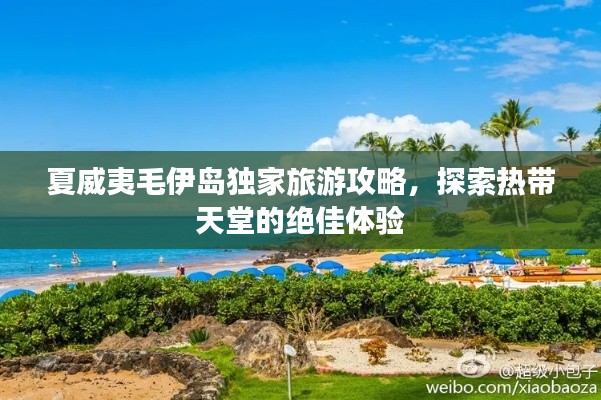 夏威夷毛伊岛独家旅游攻略，探索热带天堂的绝佳体验