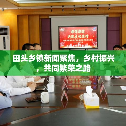 田头乡镇新闻聚焦，乡村振兴，共同繁荣之路