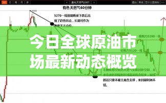 今日全球原油市场最新动态概览