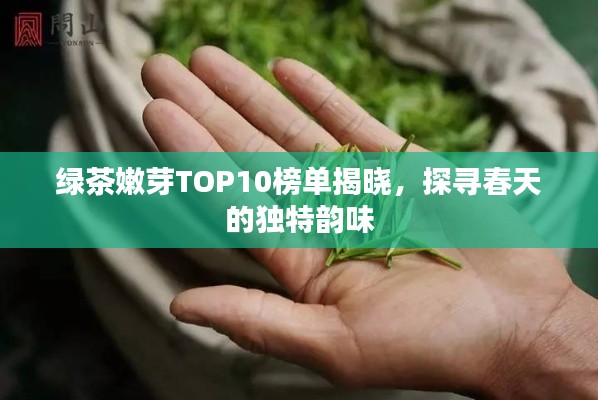 绿茶嫩芽TOP10榜单揭晓，探寻春天的独特韵味