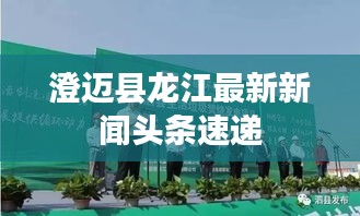 澄迈县龙江最新新闻头条速递