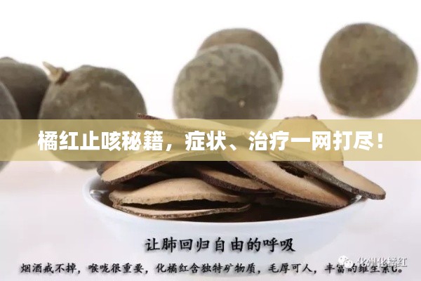 支付方式说明 第51页